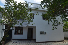 Oceanic Shades - Mount Lavinia